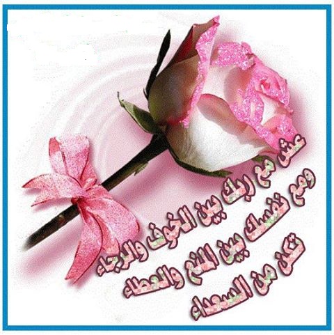 نقره لعرض الصورة في صفحة مستقلة