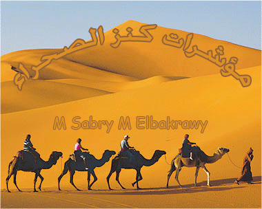 نقره لعرض الصورة في صفحة مستقلة